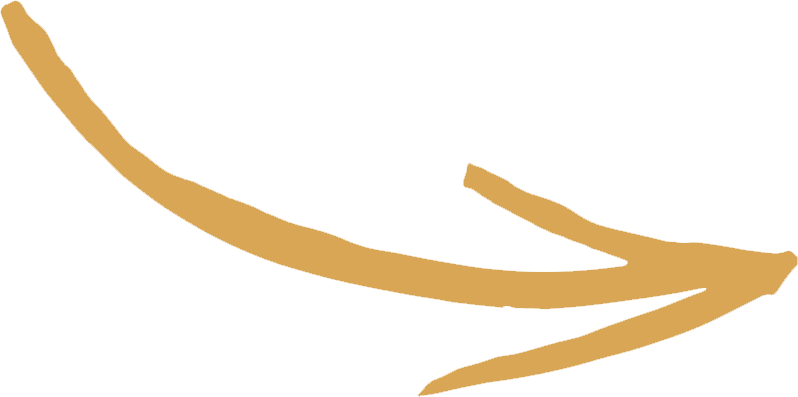 flèche